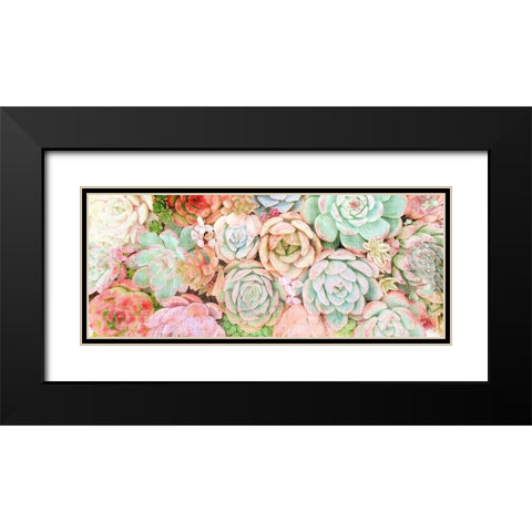 Colorful Succulents 2 Black Modern Wood Framed Art Print with Double Matting by Kimberly, Allen