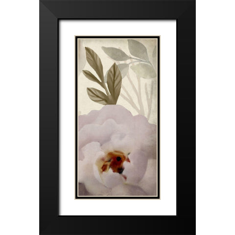 Simplicity Floral Panel C Black Modern Wood Framed Art Print with Double Matting by Kimberly, Allen
