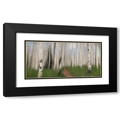 Path through the Aspens Black Modern Wood Framed Art Print with Double Matting by Allen, Kimberly