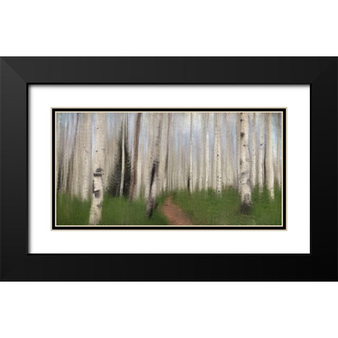 Path through the Aspens Black Modern Wood Framed Art Print with Double Matting by Allen, Kimberly