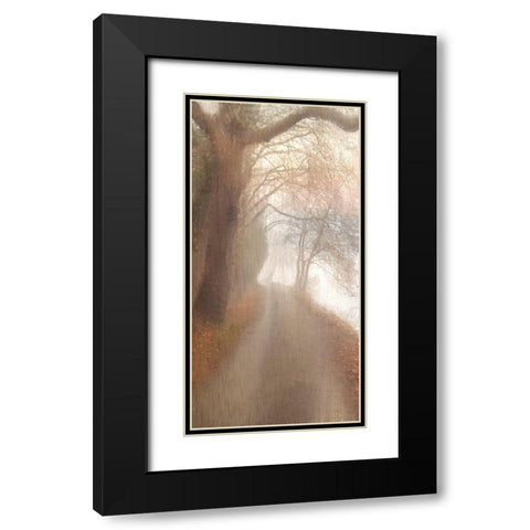 Into the Mist Black Modern Wood Framed Art Print with Double Matting by Allen, Kimberly