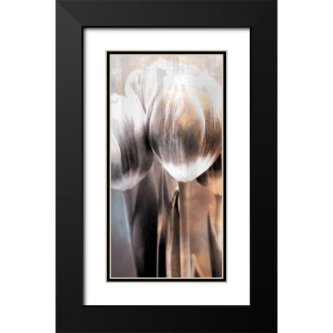 Tulip 2 Black Modern Wood Framed Art Print with Double Matting by Allen, Kimberly