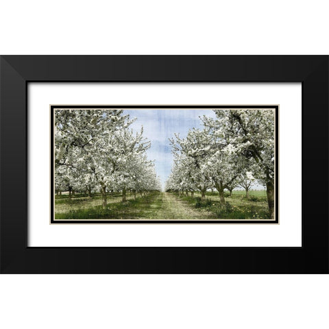 Spring Black Modern Wood Framed Art Print with Double Matting by Allen, Kimberly