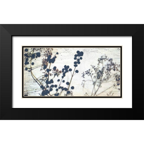Dried Flowers Black Modern Wood Framed Art Print with Double Matting by Allen, Kimberly