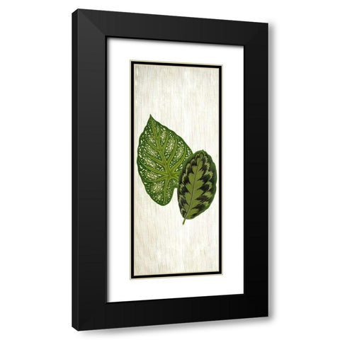 Botanical Greens 1 Black Modern Wood Framed Art Print with Double Matting by Allen, Kimberly