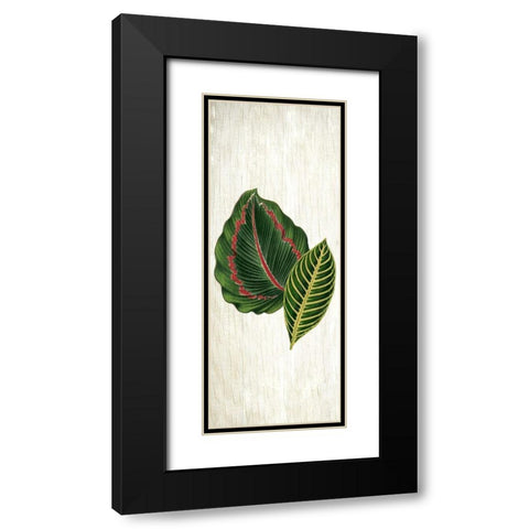 Botanical Greens 3 Black Modern Wood Framed Art Print with Double Matting by Allen, Kimberly