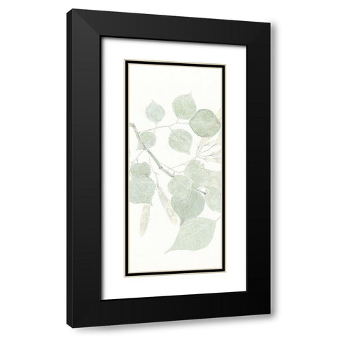 Soft Leaves 1 Black Modern Wood Framed Art Print with Double Matting by Allen, Kimberly