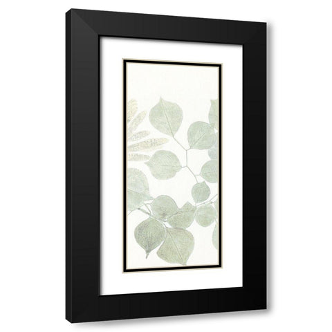 Soft Leaves 2 Black Modern Wood Framed Art Print with Double Matting by Allen, Kimberly