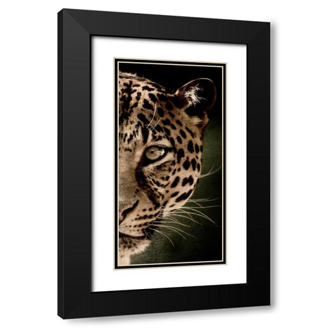 Leo Panel Black Modern Wood Framed Art Print with Double Matting by Allen, Kimberly