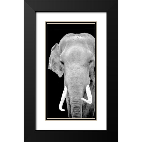 Strong 2 Black Modern Wood Framed Art Print with Double Matting by Allen, Kimberly