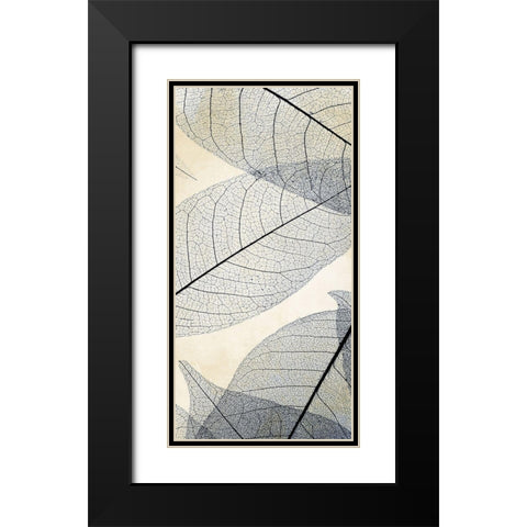 Transparent Leaves 1 Black Modern Wood Framed Art Print with Double Matting by Allen, Kimberly