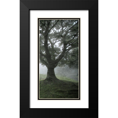 Summer Shades 3 Black Modern Wood Framed Art Print with Double Matting by Allen, Kimberly
