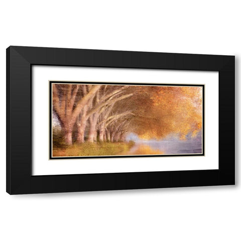 Quiet Autumn Pond Black Modern Wood Framed Art Print with Double Matting by Allen, Kimberly