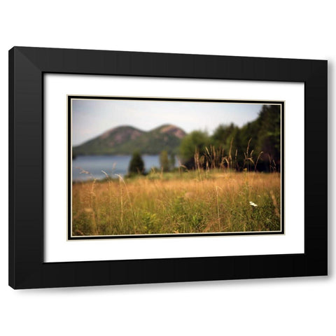 Grassy Field 1 Black Modern Wood Framed Art Print with Double Matting by Colberg, Lisa