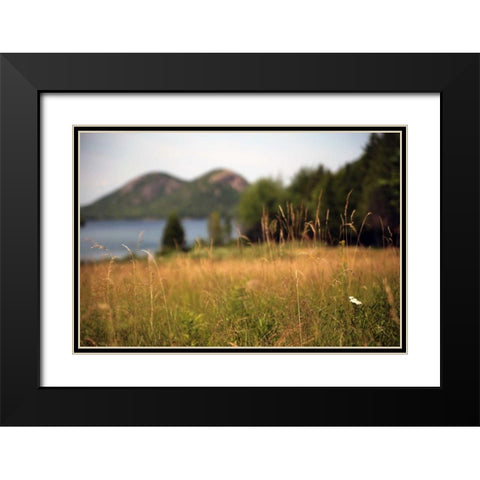 Grassy Field 1 Black Modern Wood Framed Art Print with Double Matting by Colberg, Lisa