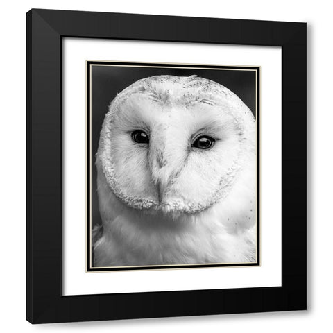 Owl Close Up Black Modern Wood Framed Art Print with Double Matting by Straatsma, Leah