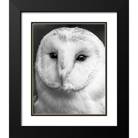 Owl Close Up Black Modern Wood Framed Art Print with Double Matting by Straatsma, Leah