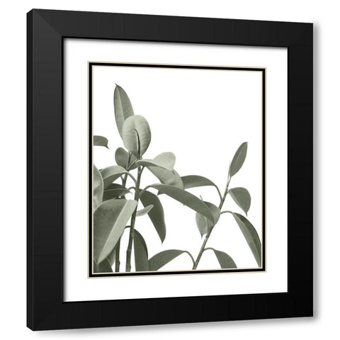 Pale Green Leaves Black Modern Wood Framed Art Print with Double Matting by Straatsma, Leah