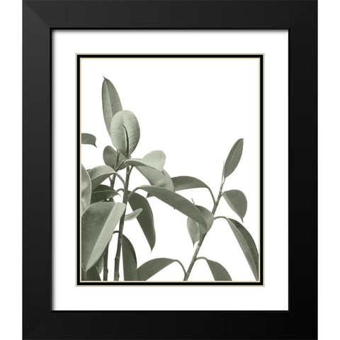 Pale Green Leaves Black Modern Wood Framed Art Print with Double Matting by Straatsma, Leah