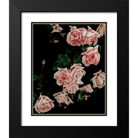 Dark Blush Roses Black Modern Wood Framed Art Print with Double Matting by Straatsma, Leah