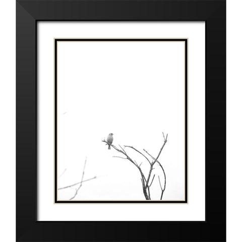 Bleached Branch and Bird Black Modern Wood Framed Art Print with Double Matting by Straatsma, Leah
