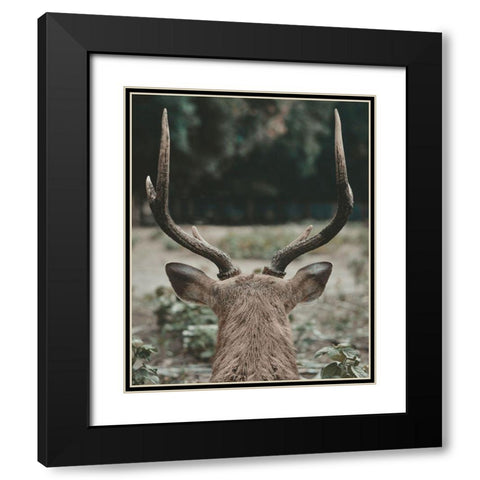 Deer With Antlers Black Modern Wood Framed Art Print with Double Matting by Straatsma, Leah