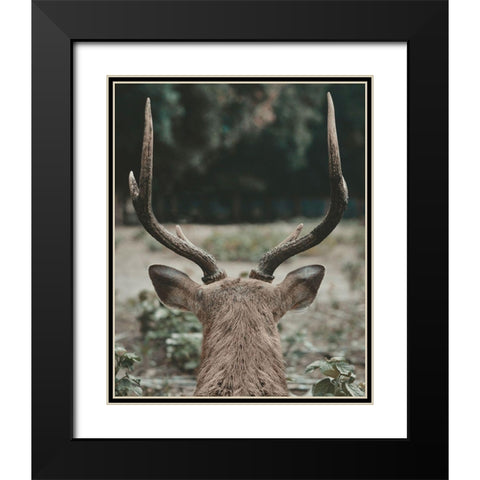 Deer With Antlers Black Modern Wood Framed Art Print with Double Matting by Straatsma, Leah