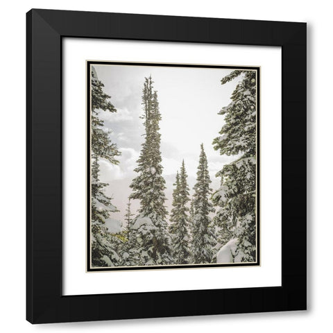 Snow Covered PInes Black Modern Wood Framed Art Print with Double Matting by Straatsma, Leah