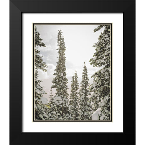 Snow Covered PInes Black Modern Wood Framed Art Print with Double Matting by Straatsma, Leah