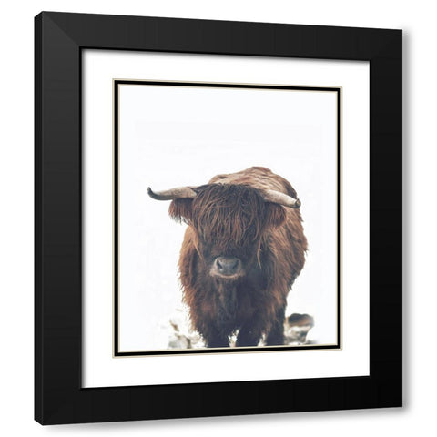 Winter Highland Cow Black Modern Wood Framed Art Print with Double Matting by Straatsma, Leah