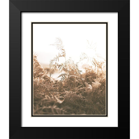Faded Brown Ferns Black Modern Wood Framed Art Print with Double Matting by Straatsma, Leah