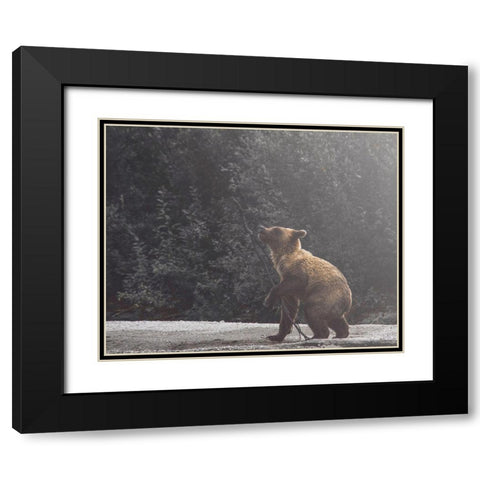 Playful Cub Black Modern Wood Framed Art Print with Double Matting by Straatsma, Leah