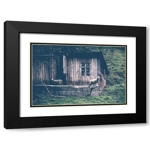 Sheepish Black Modern Wood Framed Art Print with Double Matting by Straatsma, Leah