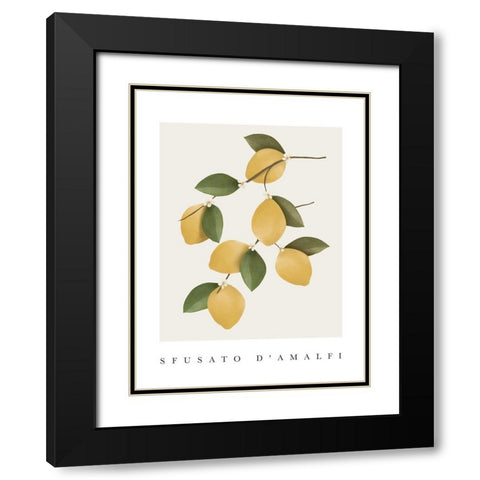 Amalfi Lemons Black Modern Wood Framed Art Print with Double Matting by Straatsma, Leah