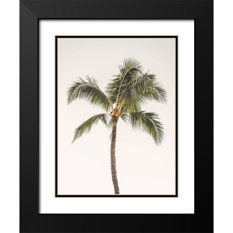 Rosy Palm Tree Black Modern Wood Framed Art Print with Double Matting by Straatsma, Leah