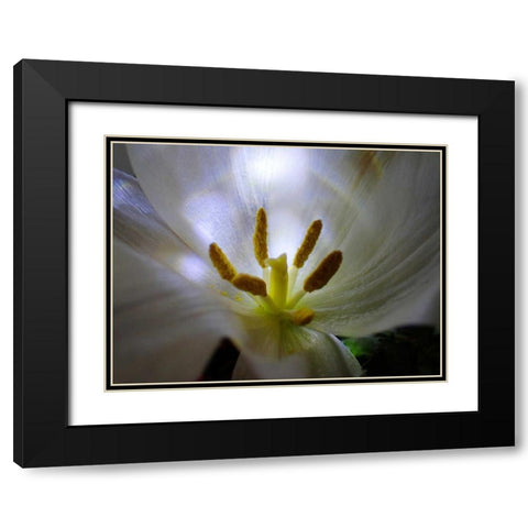 Tulpe Stempel Blau 2 Black Modern Wood Framed Art Print with Double Matting by May