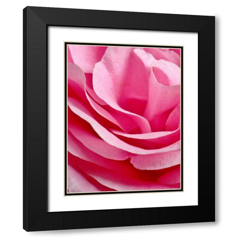 Rose Nahbereich Black Modern Wood Framed Art Print with Double Matting by May