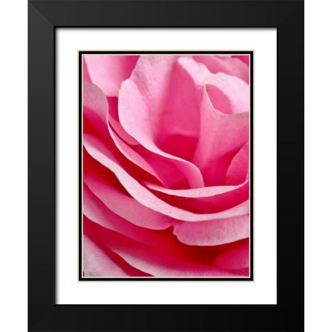 Rose Nahbereich Black Modern Wood Framed Art Print with Double Matting by May