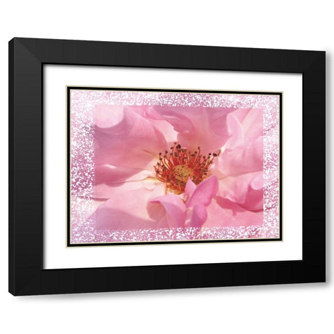 Rosenkern Rahmen Black Modern Wood Framed Art Print with Double Matting by May