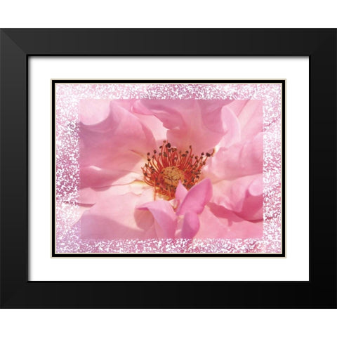 Rosenkern Rahmen Black Modern Wood Framed Art Print with Double Matting by May