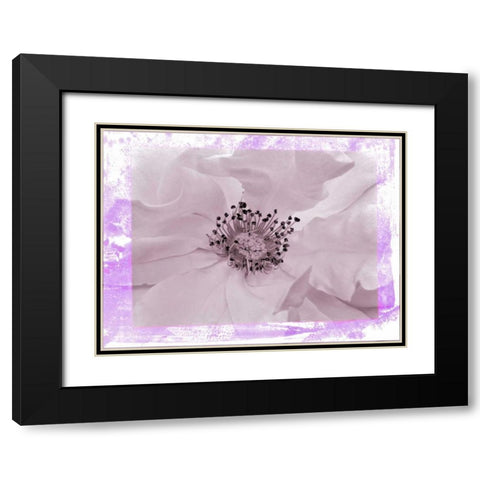 Rosenkern Rahmen 2 Black Modern Wood Framed Art Print with Double Matting by May