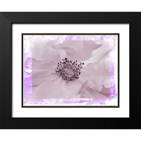 Rosenkern Rahmen 2 Black Modern Wood Framed Art Print with Double Matting by May