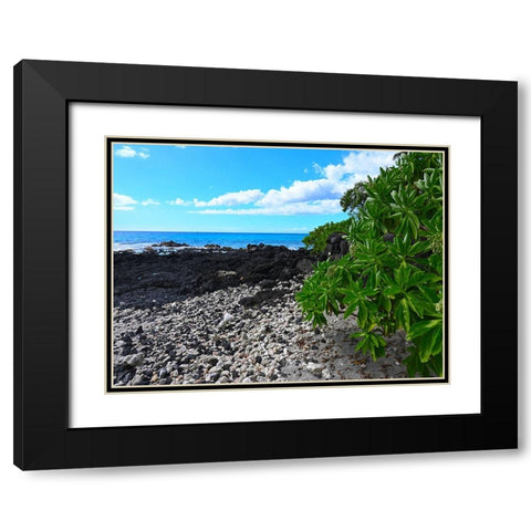 Shoreline  Path Black Modern Wood Framed Art Print with Double Matting by Nebula, Melissa