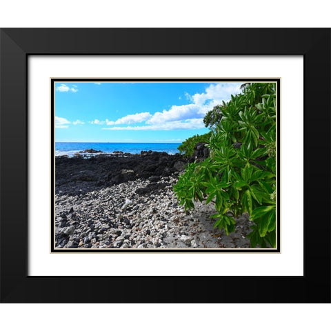 Shoreline  Path Black Modern Wood Framed Art Print with Double Matting by Nebula, Melissa