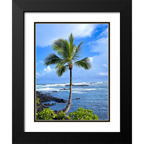 Palm Calm Black Modern Wood Framed Art Print with Double Matting by Nebula, Melissa
