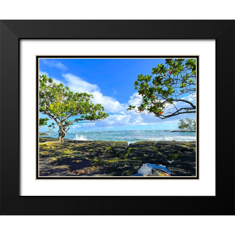 Tropical Autumn Morning Oceanrise Black Modern Wood Framed Art Print with Double Matting by Nebula, Melissa