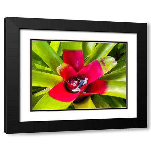 A Slow Sip Black Modern Wood Framed Art Print with Double Matting by Nebula, Melissa