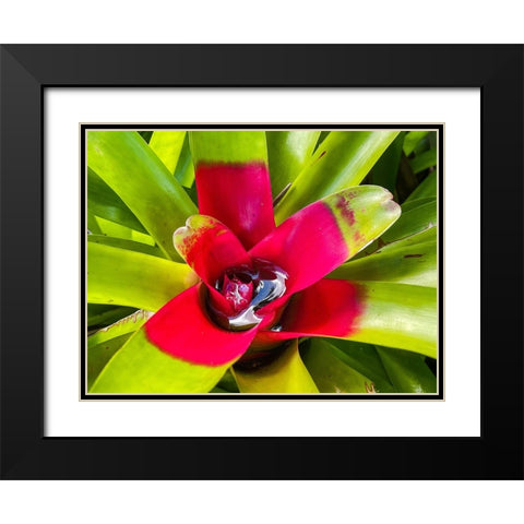 A Slow Sip Black Modern Wood Framed Art Print with Double Matting by Nebula, Melissa