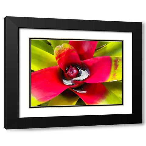 Sip Me Slowly Black Modern Wood Framed Art Print with Double Matting by Nebula, Melissa