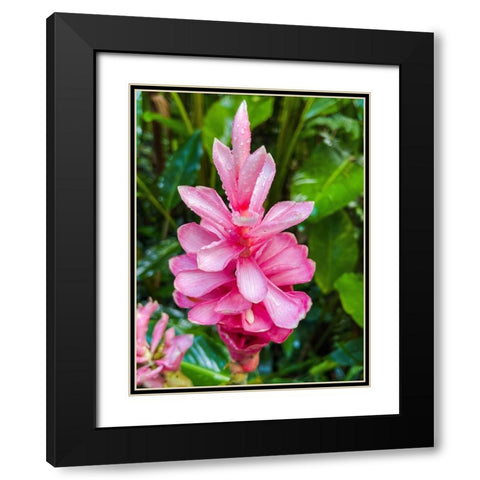 Floral Heart Bliss Black Modern Wood Framed Art Print with Double Matting by Nebula, Melissa